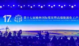 欧美MV日韩MV国产网站